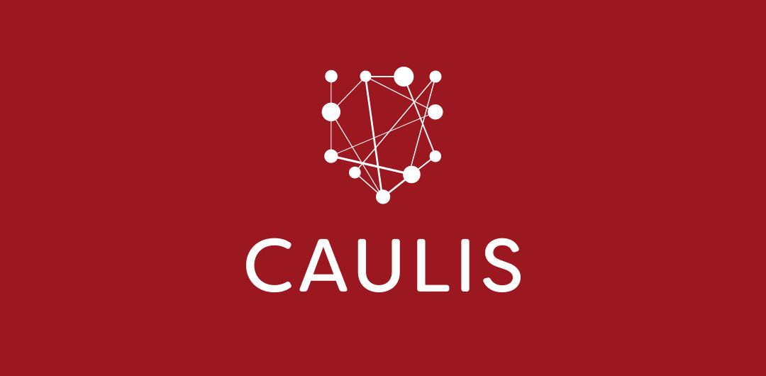 カウリスの株価動向まとめ 最新決算と今後の株価予想【153A】