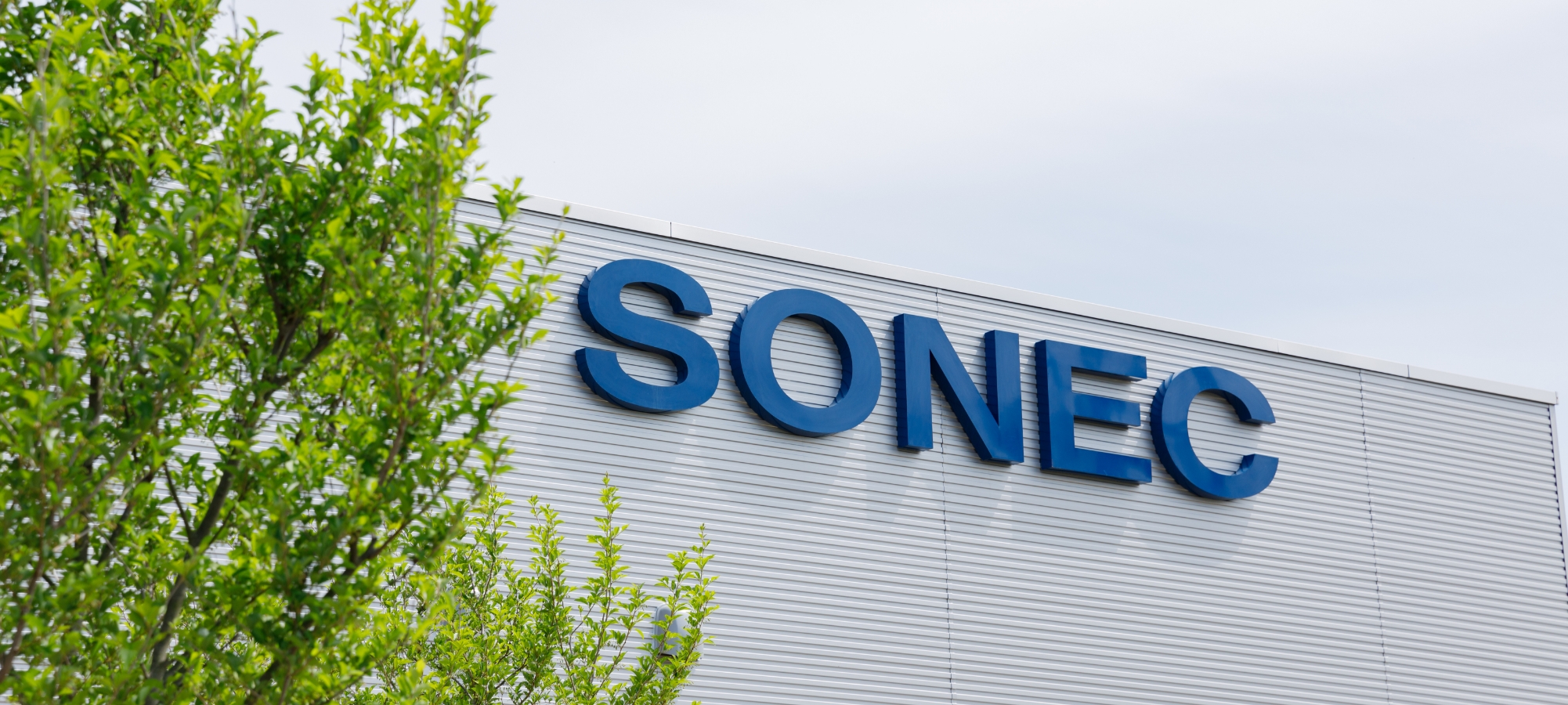 ソネックの株価動向まとめ　最新決算と今後の株価予想【1768】