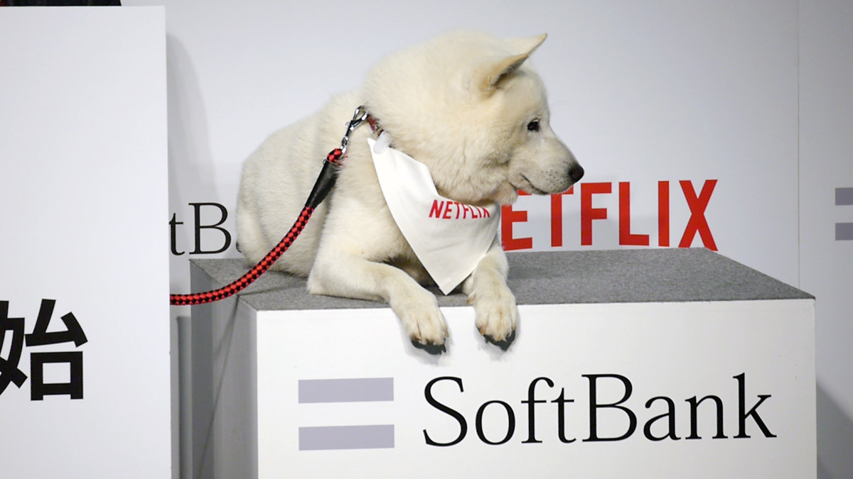 ソフトバンク(9434)の株価は割安？決算推移・配当・今後5年の株価予想