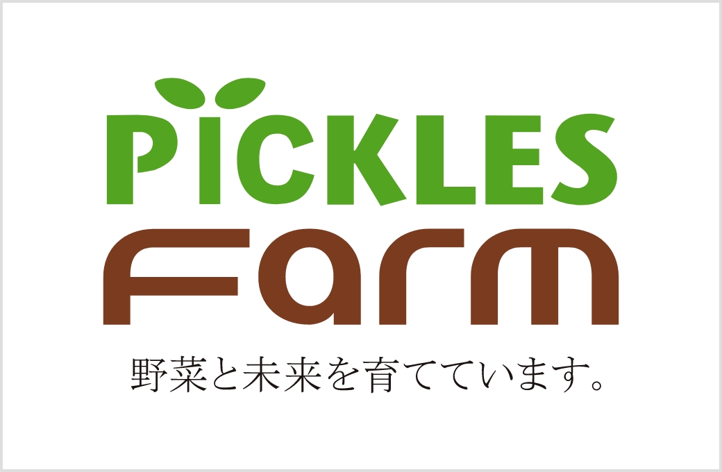 ピックルスホールディングス(2935)の株価は割安？決算推移・配当・今後5年の株価予想