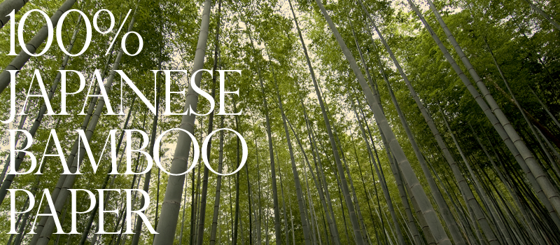 中越パルプ工業(3877)の株価は割安?決算推移・配当・今後5年の株価予想